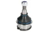 Шарова опора лів/прав (нижн передн) CHRYSLER 200, SEBRING DODGE AVENGER, JOURNEY FIAT FREEMONT JEEP CHEROKEE LANCIA FLAVIA 2.0-3.6ALK 09.06- REINHOCH RH03-6009 (фото 1)