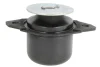 Подушка двигуна задн лів, гідравлічний SEAT TOLEDO I VW CORRADO, GOLF III, PASSAT B3/B4, POLO III CLASSIC, SHARAN, VENTO 1.4-2.9 02.88-07.02 REINHOCH RH11-0108 (фото 1)