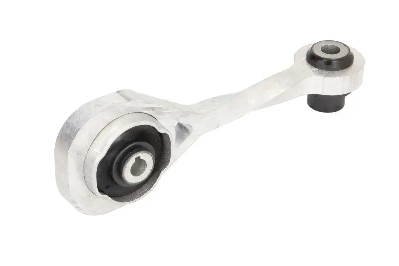 Кронштейн підвіски двигуна задн прав NISSAN KUBISTAR RENAULT CLIO II, KANGOO, KANGOO EXPRESS, MEGANE I, MEGANE I CLASSIC, SCENIC I, THALIA I, TWINGO II, WIND 1.2-1.9D 08.97- REINHOCH RH11-2032 (фото 1)
