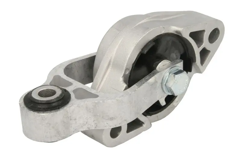 Кронштейн підвіски двигуна Нижн прав RENAULT LAGUNA, LAGUNA III, LATITUDE 2.0/2.0D/3.0D 10.07- REINHOCH RH11-2082 (фото 1)
