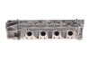 Головка блоку циліндрів (у зборі з клапанами) Master III 2,3dci (10-), 2,0dci Trafic II (06-14) RENAULT 110417248R (фото 8)
