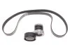Комплект ременя генератора Renault Kangoo 1.5dCi 09- (6PK1197) UA63 RENAULT 117202495R (фото 1)