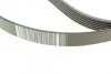 К-Т РЕМЕНЯ ДОДАТК. ОБЛАДНАНН RENAULT 117203694R (фото 4)