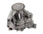 Насос масляний Master 2.3dCi 12- UA63 RENAULT 150003601R (фото 1)