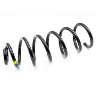 Пружина підвіски RENAULT 550202196R