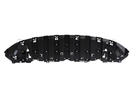 Захист бампера переднього Laguna III (07-) RENAULT 622350002R