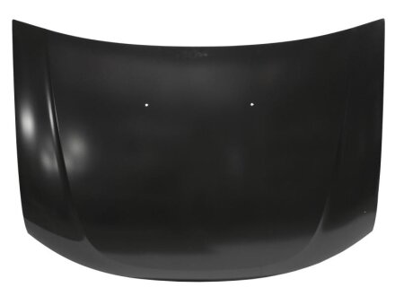 Капіт RENAULT 651000987R