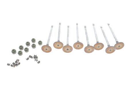 КОМП. КЛАПАНІВ ВПУСК. M9R RENAULT 7701476596