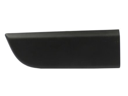 Молдинг двери передней левой Master III (10-) RENAULT 808210166R