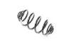 Пружина підвіски задн Renault Kangoo Express II 2008-2012 Renault RENAULT 8200754872 (фото 1)