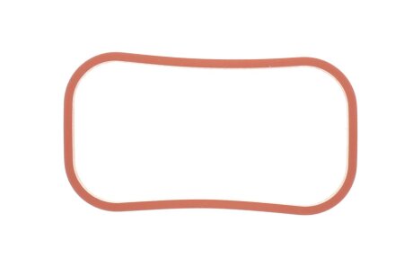 Прокладання впускного колектора RENAULT 8201695837