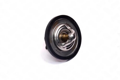 Термостат DAEWOO LANOS, CHEVROLET LACETTI, CHERY AMULET (вставка) RIDER RD.1517489887