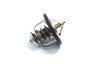 Термостат HYUNDAI ACCENT 00-10, KIA CERATO 04- (Diesel) RIDER RD.1517631985 (фото 1)
