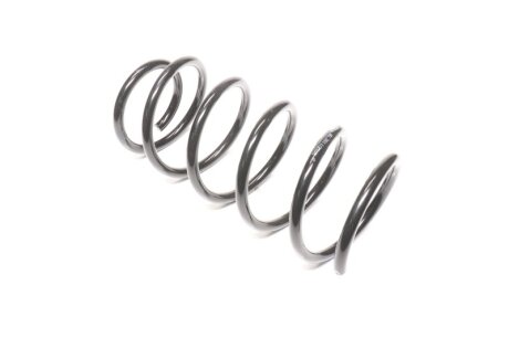 Пружина підв. DAEWOO NUBIRA 05- задн. RIDER RD.28110015