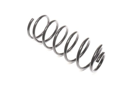 Пружина підв. Hyundai Getz задн. RIDER RD.28110021