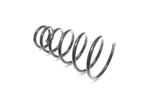 Пружина підв. HYUNDAI TUCSON, KIA SPORTAGE 04- задн. RIDER RD.28110023