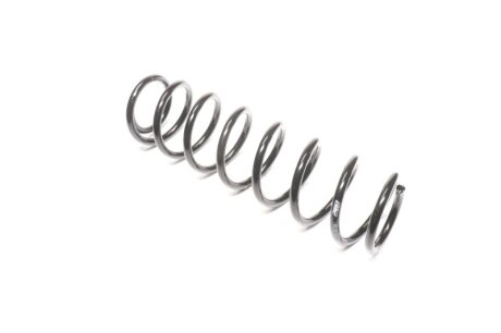 Пружина підв. SKODA FABIA 00-14 задн. RIDER RD.28110053