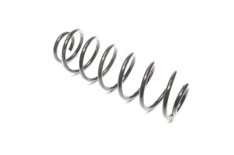 Пружина підв. FORD FIESTA 01-08 задн. RIDER RD.28110079