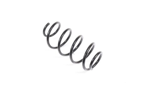 Пружина підв. SKODA OCTAVIA 04-13, VW GOLF V передн. RIDER RD.34110113