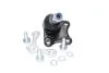 Опора кульова SKODA FABIA, VW POLO 01- лів. (до 5J-8A502 656) RIDER RD.993525524 (фото 1)