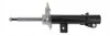Амортизатор газомасляний Roadmatic 401229RM (фото 1)