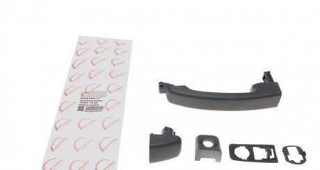 Ручка дверей (ззовні) Renault Master 10- (opt-om) ROTWEISS RWS1419