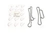 Прокладка радіатора масляного Ford Transit 2.2-2.4TDCi 06- (к-кт) (opt-om) ROTWEISS RWS1805 (фото 1)