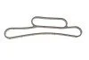 Прокладка радіатора масляного Ford Transit 2.2-2.4TDCi 06- (к-кт) (opt-om) ROTWEISS RWS1805 (фото 3)