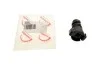 Болт зливу оливи Ford Transit Connect 1.6 TDCi 13- (opt-om) ROTWEISS RWS2014 (фото 1)