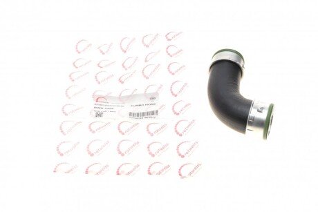 Патрубок інтеркулера (задній) (R) VW Golf V/Passat 2.0 TDI 05-13 UA63 ROTWEISS RWS2456