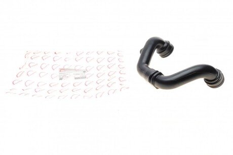 Патрубок інтеркулера Renault Clio/Megane/Scenic 1.9dTi 99-05 (opt-om) ROTWEISS RWS2527