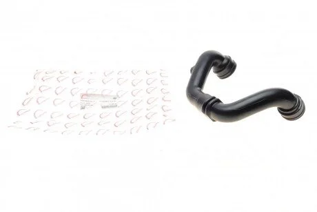Патрубок интеркулера Renault Clio/Megane/Scenic 1.9dTi 99-05 (opt-om) ROTWEISS RWS2527