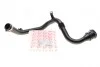 Патрубок інтеркулера Renault Fluence/ Scenic III/Megane III 1.5dCi 09- (opt-om) ROTWEISS RWS2694 (фото 1)
