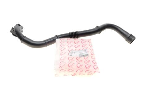 Патрубок інтеркулера Renault Megane II/Scenic II 1.5dCi 03- (opt-om) ROTWEISS RWS2701