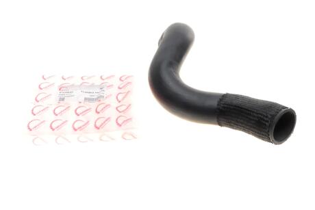 Патрубок інтеркулера Ford Transit 2.2 TDCi 14- (колектор-інтеркуллер) (opt-om) ROTWEISS RWS2737