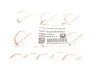Ролик генератора Audi A4/A6/VW Passat 96-05 (натяжний) (60x15x10) UA63 ROTWEISS RWS3239 (фото 5)