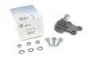 Опора кульова (передня/знизу) Citroen Xsara 97-05 (d=18mm) (opt-om) RTS 93-00543-056 (фото 1)