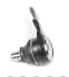 Опора кульова (передня/знизу) Ford Focus 98-04 (d=17.5mm) UA63 RTS 93-00688-056 (фото 3)