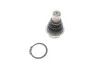 Опора кульова (передня/знизу) Nissan Pathfinder III/NP 300 Navara 05- (d=45mm/22mm) (opt-om) RTS 93-02396 (фото 3)
