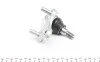 Опора кульова (передня/знизу) Toyota Corolla/Auris 06-18/Rav 4 III/IV 06-/Verso 09-18/Lexus NX 1 UA63 RTS 93-02549 (фото 2)