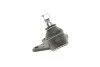 Опора кульова (передня/знизу/R) Seat Cordoba/Ibiza 02-/Skoda Fabia 99-14/Roomster 06-15/VW P UA63 RTS 93-05340-156 (фото 7)