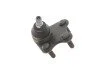 Опора кульова (передня/знизу/R) Audi A1 10-/Seat Ibiza 02-15/Skoda Fabia 99-14/Rapid 12-/VW UA63 RTS 93-09123-156 (фото 6)