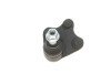 Опора кульова (передня/знизу/L) Audi A1 10-/Seat Ibiza 02-15/Skoda Fabia 99-14/Rapid 12-/VW UA63 RTS 93-09123-256 (фото 5)