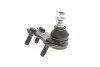 Опора кульова (передня/знизу/L) Audi A1 10-/Seat Ibiza 02-15/Skoda Fabia 99-14/Rapid 12-/VW UA63 RTS 93-09123-256 (фото 6)