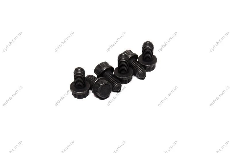 Болти кріплення маховика AUDI, SEAT, SKODA, VW (вир-во) SACHS 1874 000 002 (фото 1)