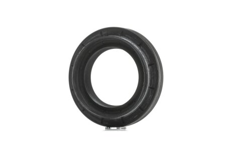 Сальник дифференциала DACIA/RENAULT (произ-во) SASIC 1954012