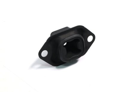 Подушка двигуна DACIA RENAULT Duster (Sasiс) C.I.U SASIC 2704043