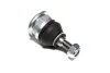 Опора кульова RENAULT LAGUNA I, SAFRANE I-II 92-01 перед. міст низ (Вир-во) C.I.U SASIC 4005267 (фото 1)