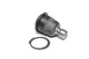 Опора кульова NISSAN QASHQAI, X-TRAIL, RENAULT KOLEOS 03-перед. міст низ (Вир-во) SASIC 7574018 (фото 1)