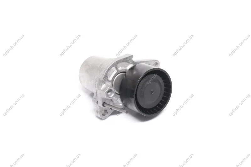 Натяжна планка, полікліновий ремінь SCHAEFFLER GRUPPE 534 0624 10 (фото 1)